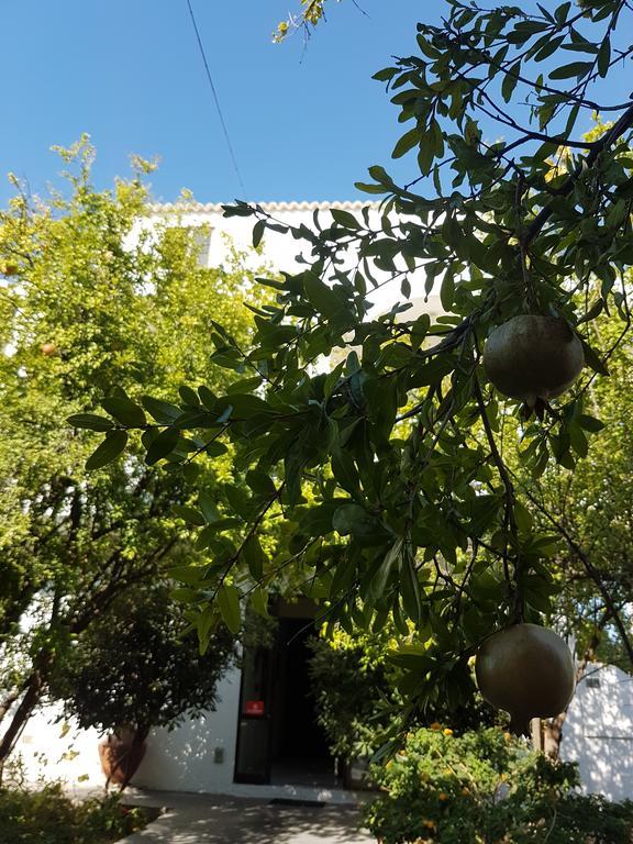Thalassa Studios Faliraki Exteriör bild