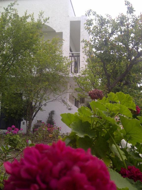 Thalassa Studios Faliraki Exteriör bild